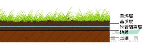第一部分是草坪植物层,一般为禾本科草坪草,亦可按照种植环境及应用